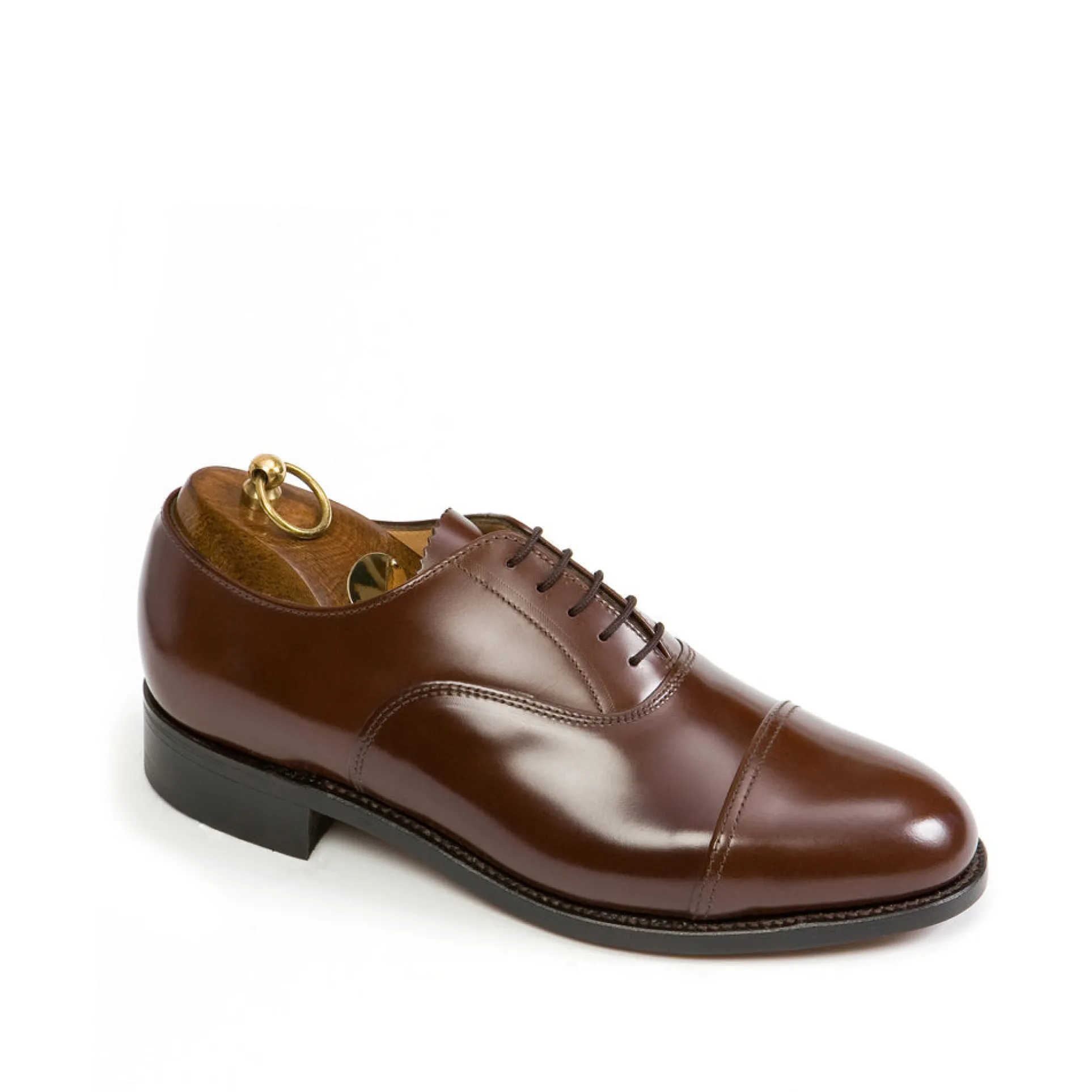 Sanders Oxford
